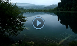 Video Plitvice