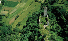 L’Istria verde (Ente per il Turismo dell'Istria)