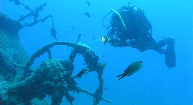 Venite a fare un tuffo nel pittoresco e nascosto mondo sottomarino dell'Adriatico. 