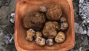 Truffels